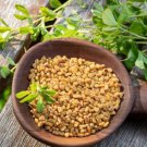 Chinese Bean Seeds Contains Rich Oil Green Chinese Vegetables 15 PCS Seeds