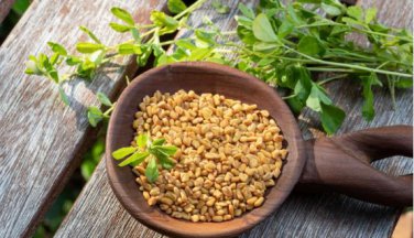 Chinese Bean Seeds Contains Rich Oil Green Chinese Vegetables 15 PCS Seeds