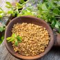 Chinese Bean Seeds Contains Rich Oil Green Chinese Vegetables 15 PCS Seeds