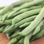 Chinese Bean Seeds Contains Rich Oil Green Chinese Vegetables 15 PCS Seeds