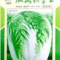Chinese Cabbage Autumn Vegetables 10 PCS Seeds