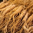 Chinese Ginseng seeds Ashwaganda 6 PCS Seeds Chinese Ginseng seeds Ashwaganda 6 PCS Seeds