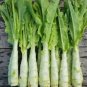 Chinese Green Asparagus Lettuce 30 PCS Seeds