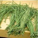 Chinese Green Long Cowpea Vegetable 20 PCS Seeds
