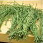 Chinese Green Long Cowpea Vegetable 20 PCS Seeds