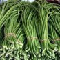 Chinese Green Long Cowpea Vegetable 20 PCS Seeds