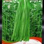 Chinese Green Long Cowpea Vegetable 20 PCS Seeds