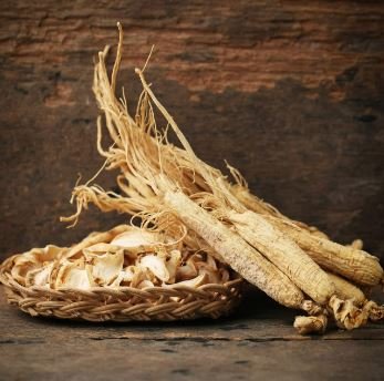 Chinese Korean Panax Ginseng 6 PCS Seeds