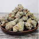 Chinese Panax Notoginseng Pseudo ginseng 500 PCS Seeds Chinese Panax Notoginseng Pseudo ginseng 500 PCS Seeds
