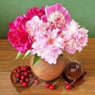 Chinese Peony Seeds Light Pink Ball Flowers 10 PCS Seeds Chinese Peony Seeds Light Pink Ball Flowers 10 PCS Seeds