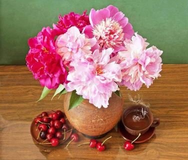 Chinese Peony Seeds Light Pink Ball Flowers 10 PCS Seeds