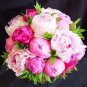 Chinese Peony Seeds Mixed Rose Red Light Pink Whitish Pink Ball Flowers 10 PCS Seeds