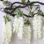 Chinese White Wisteria Rare Heirloom Wisteria Sinensis Alba 100 PCS Seeds