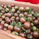 Chocolate Bright Tomato Seeds Heirloom Tasty Tomato Fruit 25 PCS Seeds