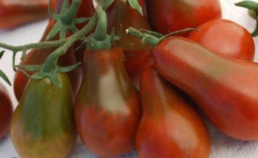 Chocolate Pear-shaped Cherry Tomato 100 PCS Seeds