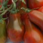 Chocolate Pear-shaped Cherry Tomato 100 PCS Seeds