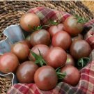 Chocolate Ruffled Tomato 100 PCS Seeds Chocolate Ruffled Tomato 100 PCS Seeds