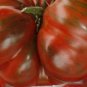 Chocolate Ruffled Tomato 100 PCS Seeds