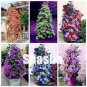 Clematis Bonsai Clematis Montana Mayleen Garden Pink Vine Flowers 100 PCS Seeds
