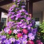 Climbing Clematis 100 PCS Seeds