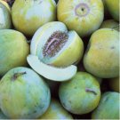 Color Muskmelon Fragrant Crisp Melon Organic 1 PCS Seeds