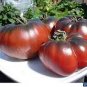 Colorful F2 Big Tomato 30 PCS Seeds