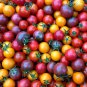Colorful Small Cherry Tomato Organic 20 PCS Seeds