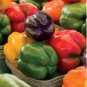 Colorful Sweet Pepper High-quality Multicolored Pepper 25 PCS Seeds