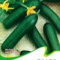 Combos Cucumbers Seeds organic green vegetables home garden fruits 9 PCS Seeds