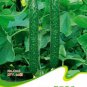 Combos Cucumbers Seeds organic green vegetables home garden fruits 9 PCS Seeds