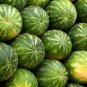 Continuous Cropping Long Red Big Watermelon 30 PCS Seeds