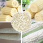 Corn (Super Sweet Juicy, Yellow Sweet Glutinous, white sweet glutinous, Jingke white ) 18 PCS Seeds