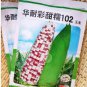 Corn Colorful Sweet Glutinous Corn 200 PCS Seeds