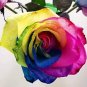 Crazy Rainbow Rose seeds big blooms a must for home garden 50 PCS Seeds