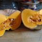 Crown Squash 10 PCS Seeds