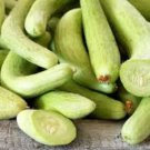 Cucumber Armenia Vegetable 50 PCS Seeds