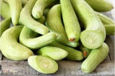 Cucumber Armenia Vegetable 50 PCS Seeds