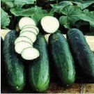 Cucumber Dark Green Crisp Barbed Vegetable 20 PCS Seeds Cucumber Dark Green Crisp Barbed Vegetable 20 PCS Seeds
