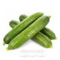 Cucumber Dark Green few Barbed Slippy Vegetable 10 PCS Seeds