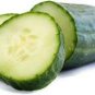 Cucumber Japanese Short Thick Vegetable 20 PCS Seeds