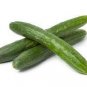 Cucumber Japanese Short Thick Vegetable 20 PCS Seeds