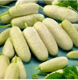Cucumber Long White Wonder 10 PCS Seeds