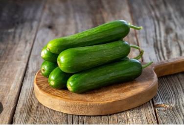 Cucumber Mixed Mini Small Medium Large Vegetable 20 PCS Seeds