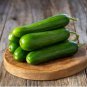 Cucumber Mixed Mini Small Medium Large Vegetable 20 PCS Seeds