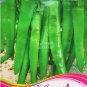 Cucumber Mixed Mini Small Medium Large Vegetable 20 PCS Seeds