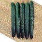 Dark Green Cucumber 25 PCS Seeds