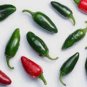 Dark Green Line Chili Cayenne Pepper Vegetable 1000 PCS Seeds