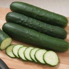 Dark Green Little Cucumber Hybrid F1 50 PCS Seeds