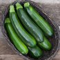 Dark Green Zucchini Summer Squash Bonsai Vegetables 8 PCS Seeds