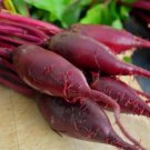 Dark Red Beetroot Cylindra Vegetables 30 PCS Seeds Dark Red Beetroot Cylindra Vegetables 30 PCS Seeds